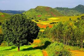 Professional cab services in Pamuru with experienced drivers